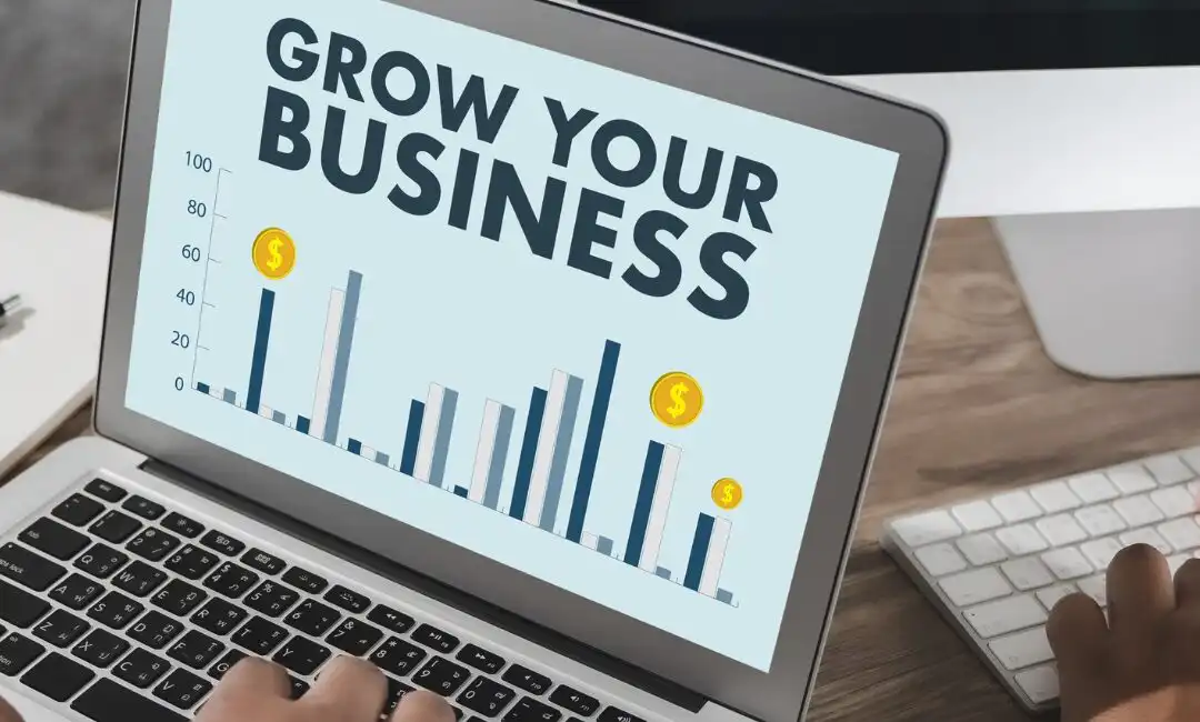Let us help you to grow your business